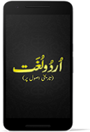 UDB Urdu Dictionary Mobile App